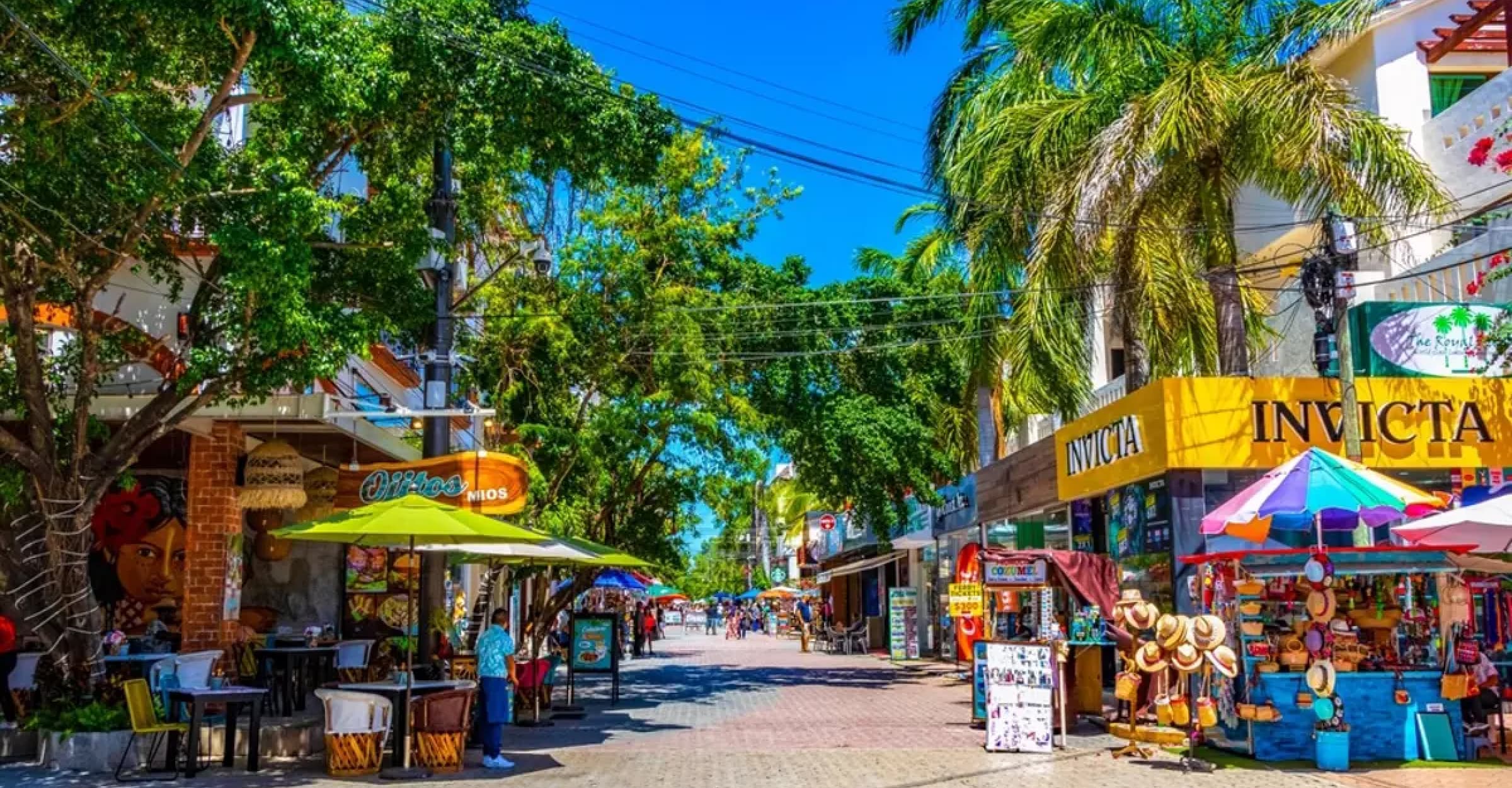 Renting in CDMX vs Playa del Carmen: What Expats Need to Know